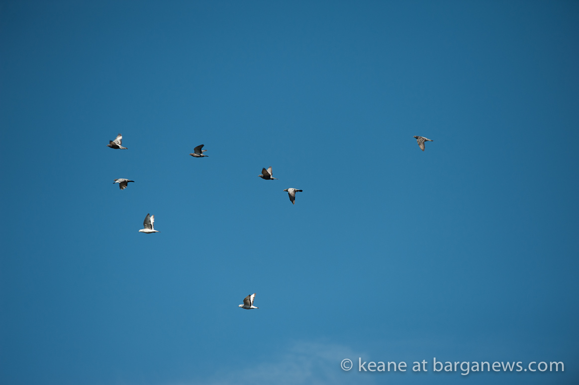 Daily Image – 8th November 2017