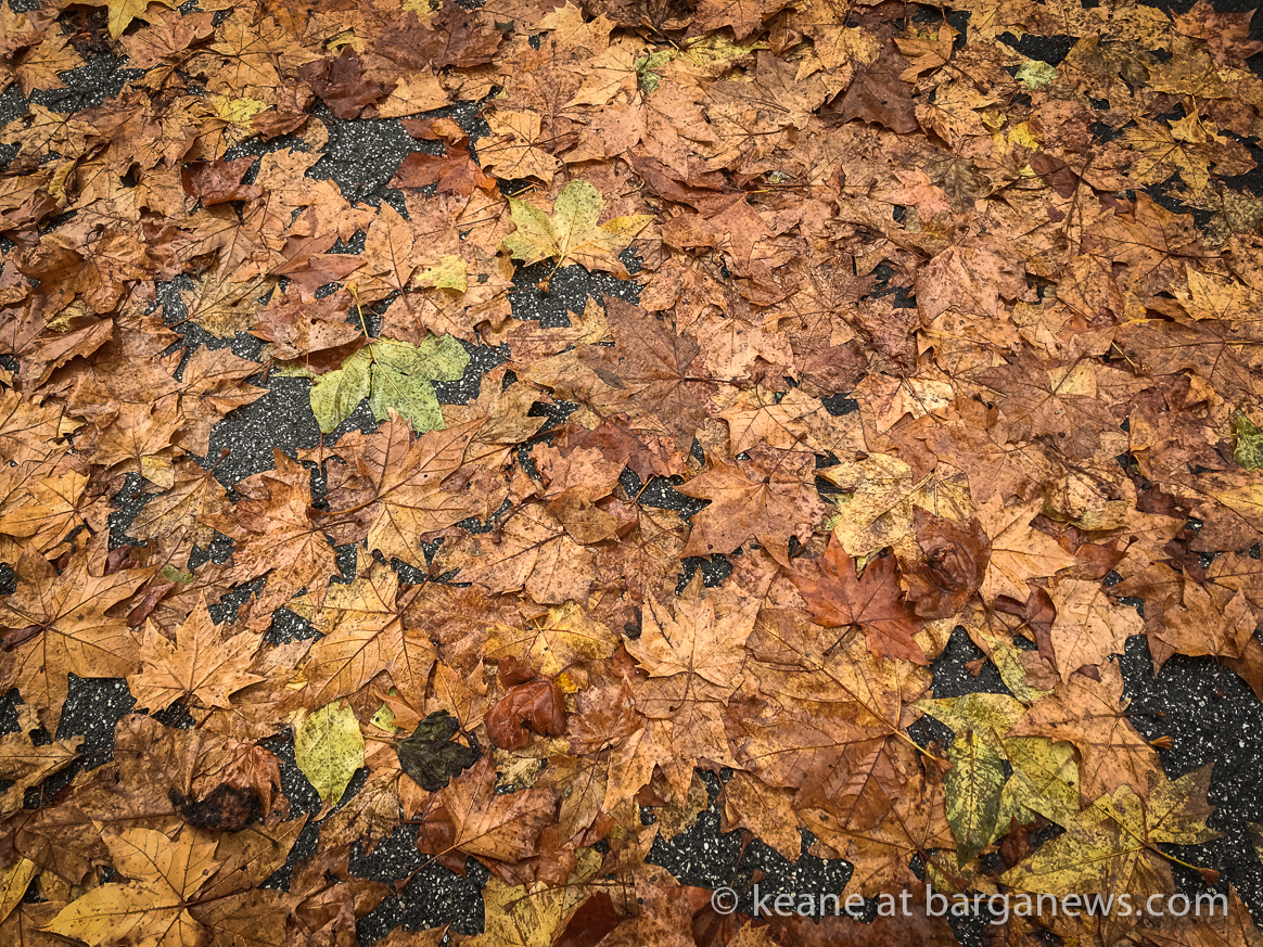 Daily Image – 5th November 2017