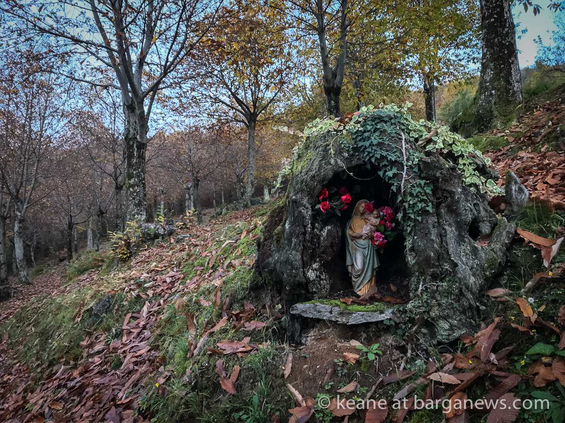 Daily Image – 10th November 2017