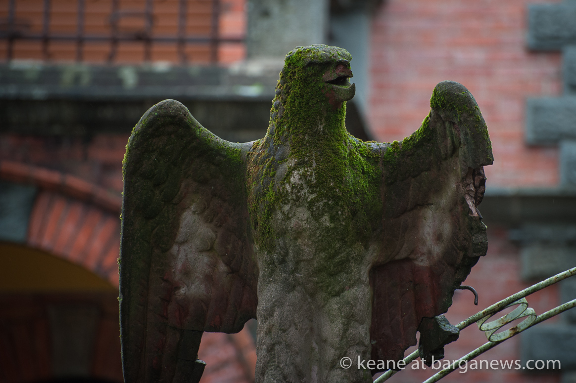 Daily Image – 22nd January 2018