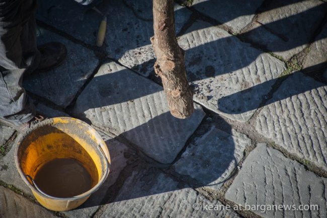 images-from-barga-4347-1024×682