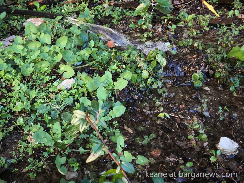 Daily Image – 3rd January 2018