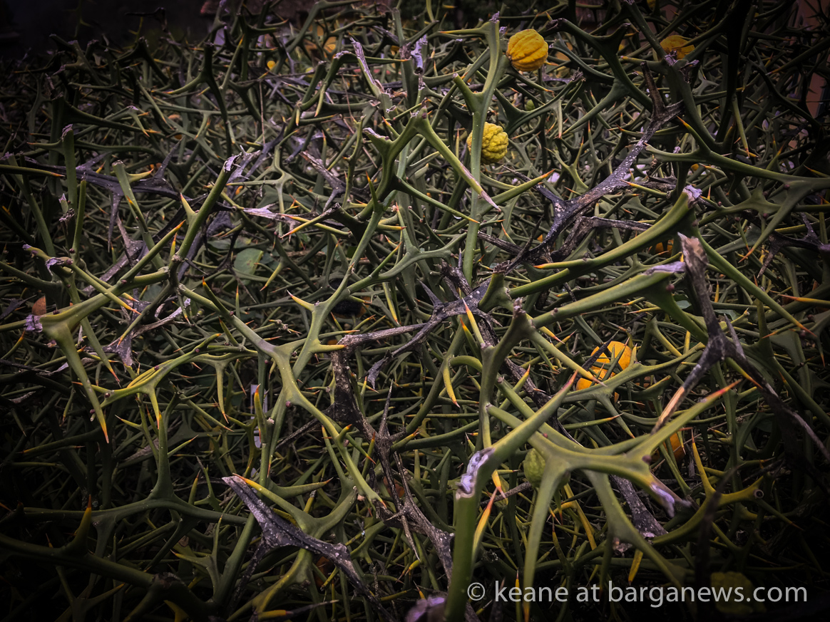 Daily Image – 6th January 2018