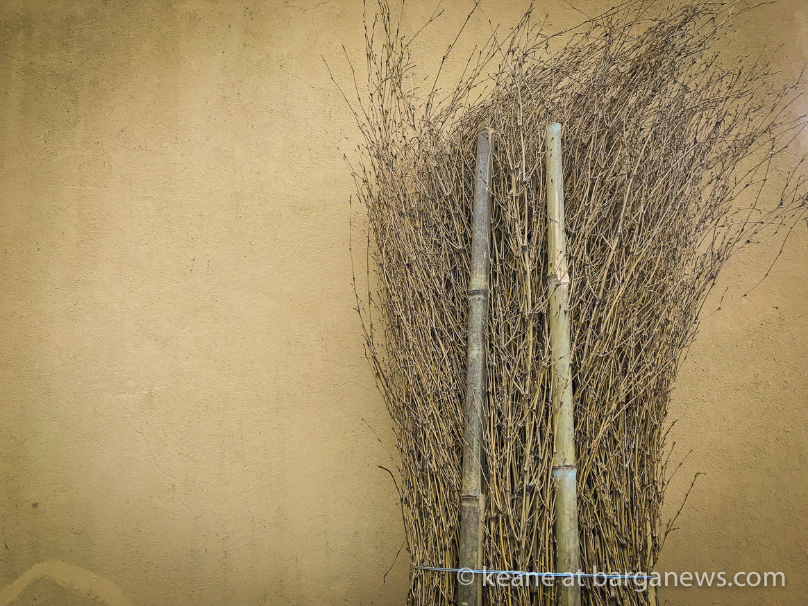 Daily Image – 16th January 2018