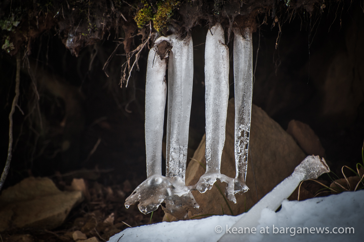 Daily Image – 16th February 2018