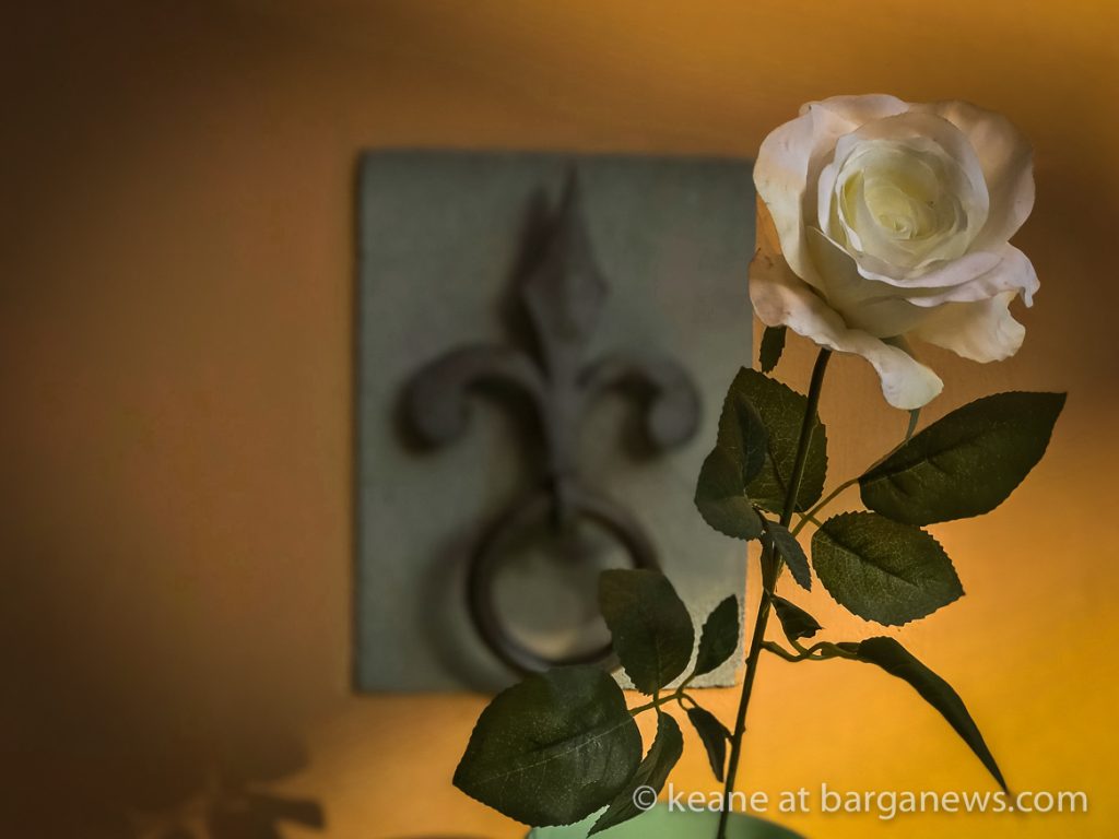 Daily Image – 26th April 2018