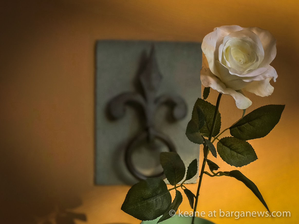 Daily Image – 26th April 2018