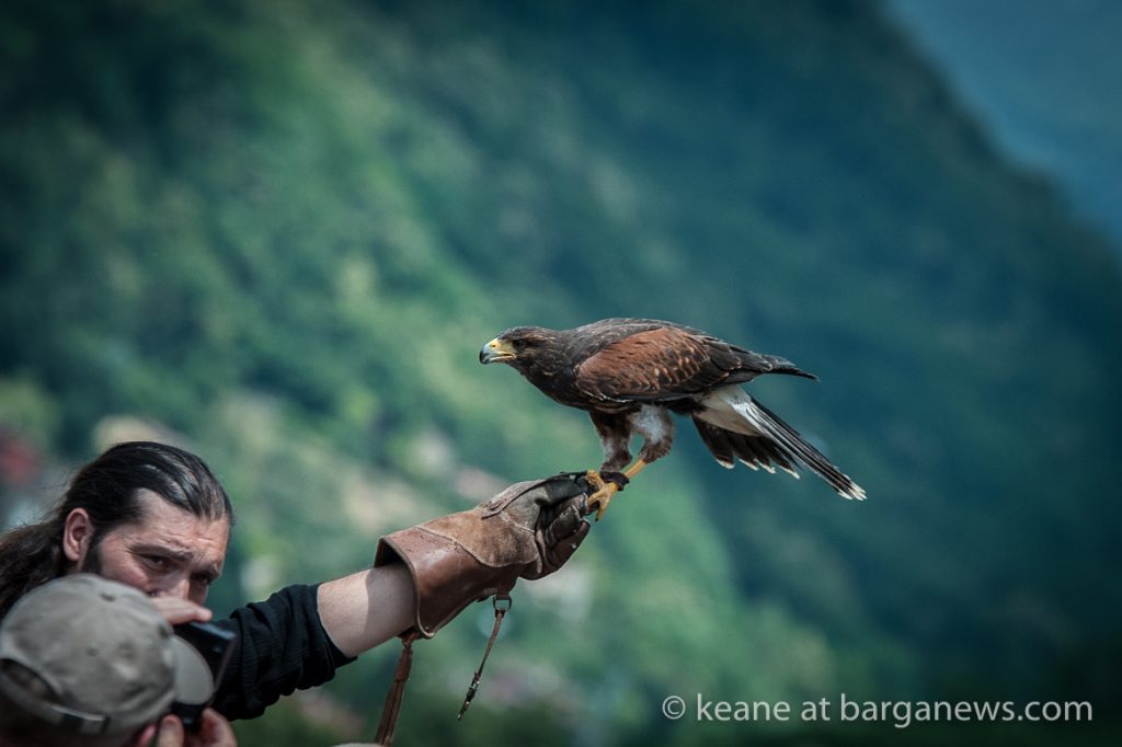 La Battaglia per Barga – spettacolo di Falconeria