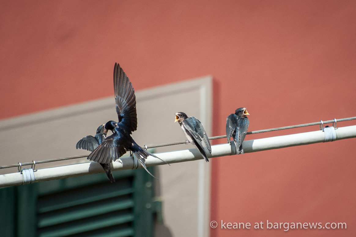 Daily Image – 8th June 2018