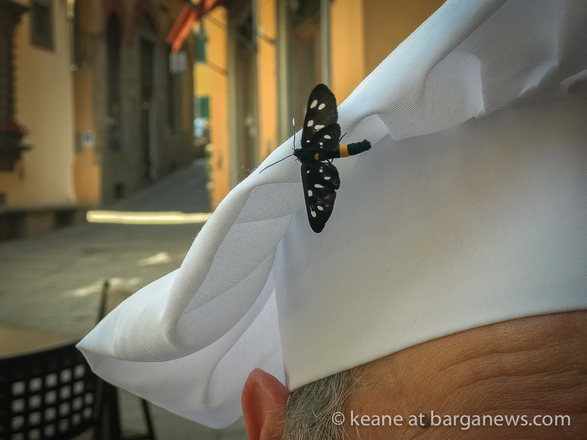 Daily Image – 19th June 2018