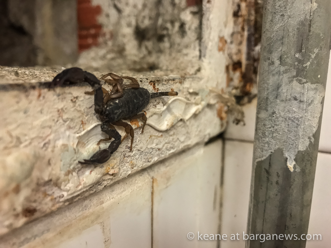 Daily Image – 13th July 2018