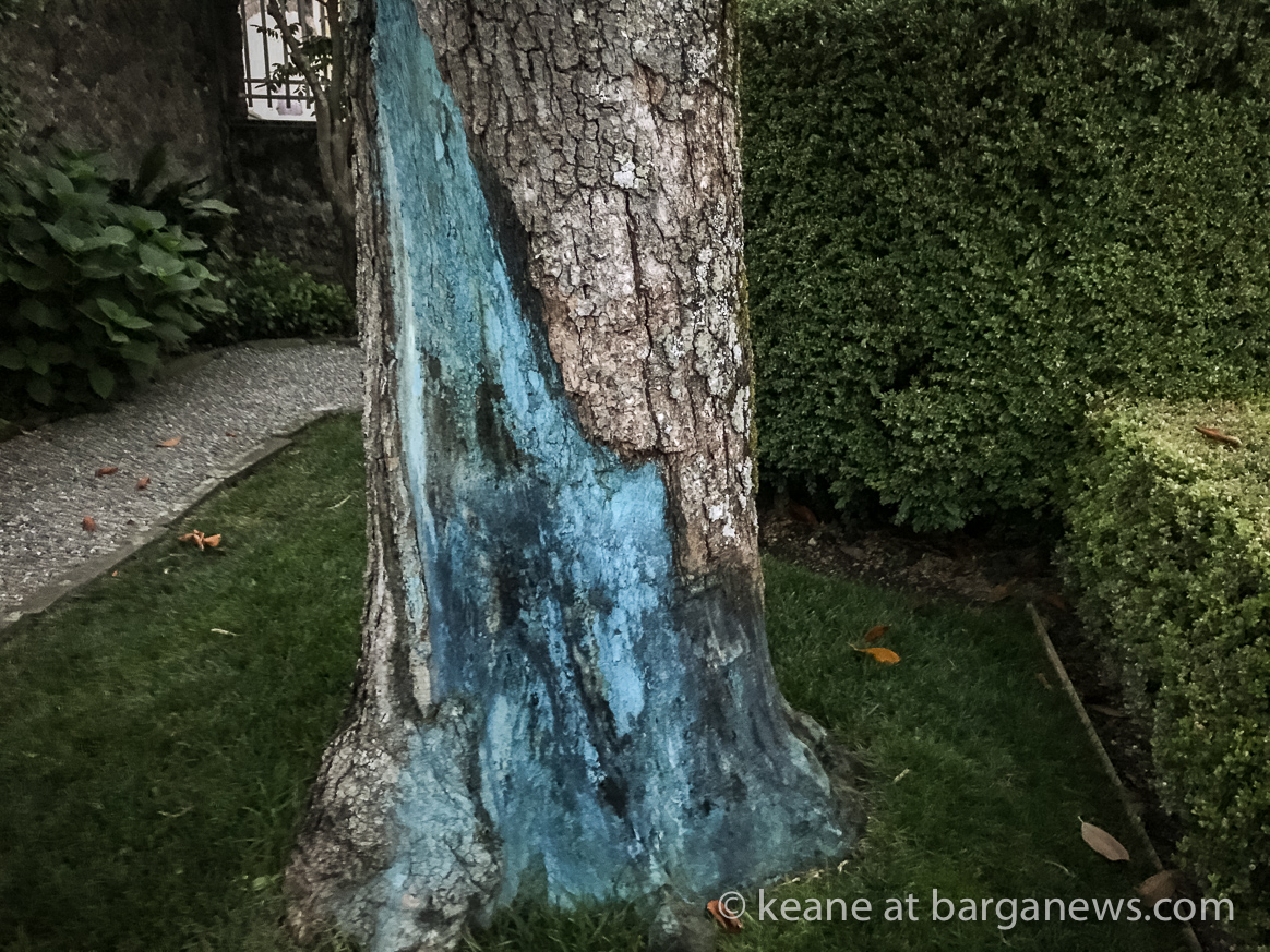 Daily Image – 9th July 2018