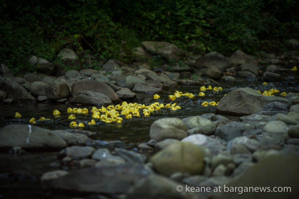 5th Annual yellow plastic duck race
