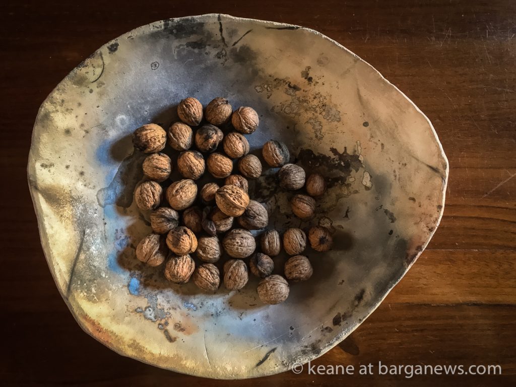 Daily Image – 19th October 2018