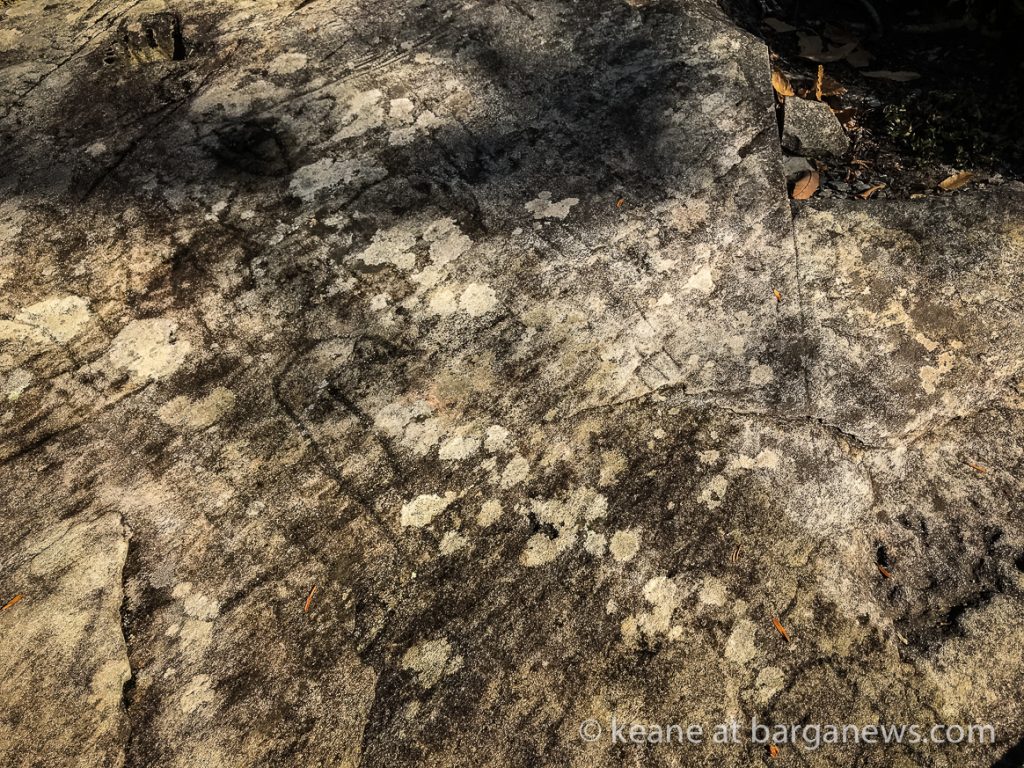 Daily Image – 20th October 2018