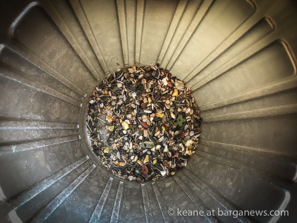 Daily Image – 23rd October 2018