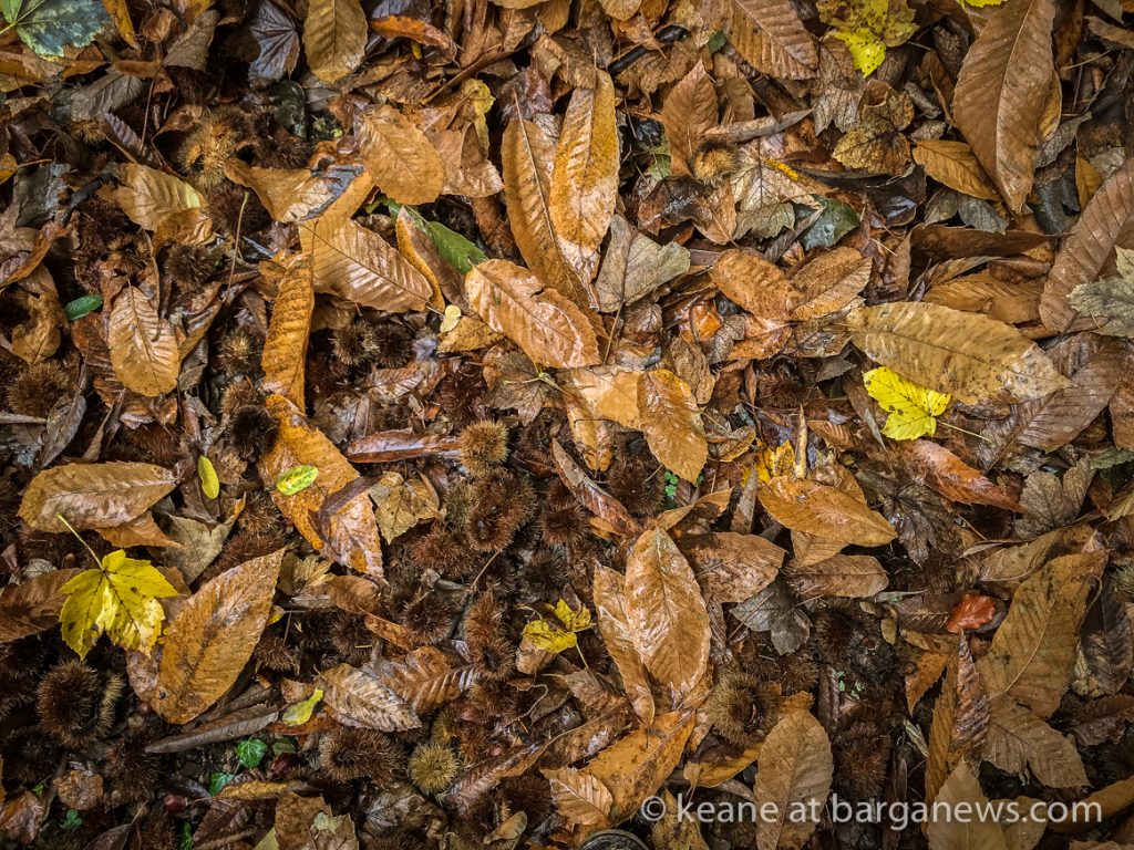 Daily Image – 28th October 2018