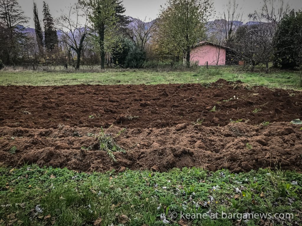 Daily Image – 20th November 2018