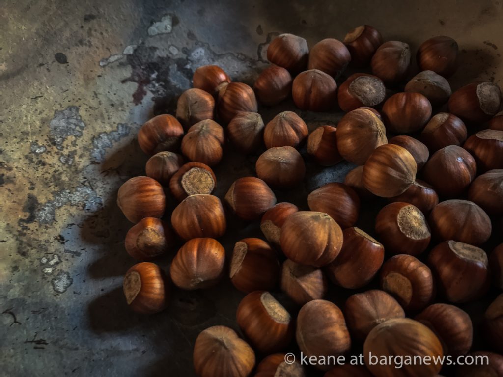 Daily Image – 3rd November 2018