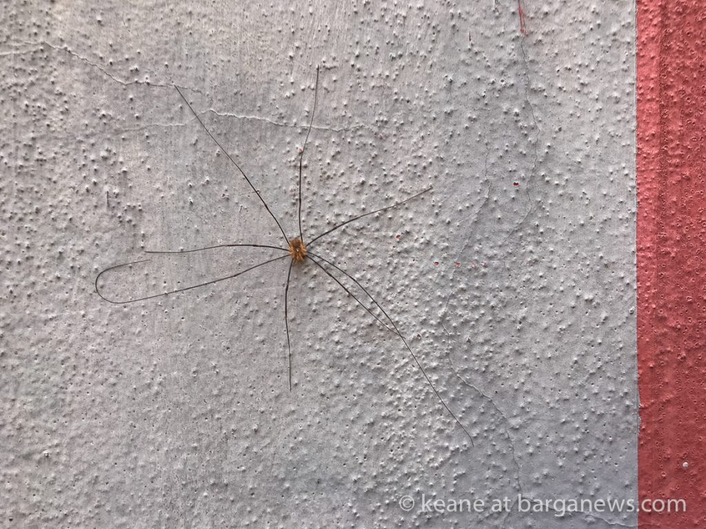 Daily Image – 5th November 2018