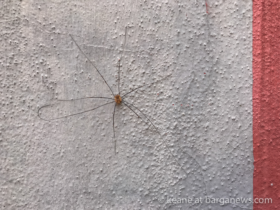 Daily Image – 5th November 2018