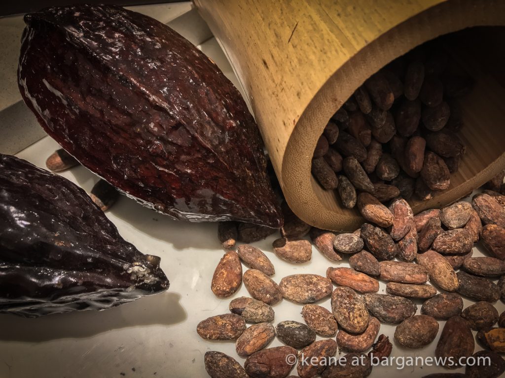 Daily Image – 13th November 2018