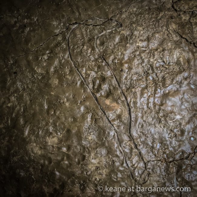 45079420_338226463606490_8356002553908953088_o_338226460273157