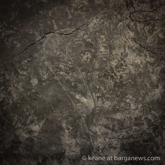 45181856_338222216940248_1692388582603358208_o_338222210273582