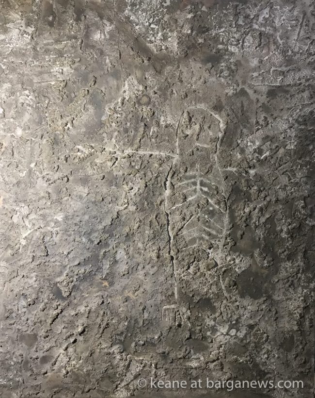 45202457_338221666940303_2990422523742519296_o_338221660273637