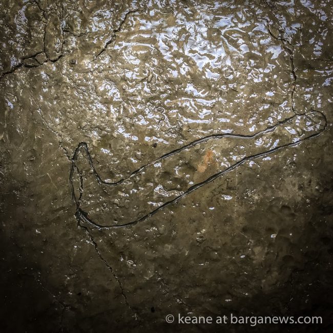 45238701_338226270273176_5906627918120878080_o_338226266939843