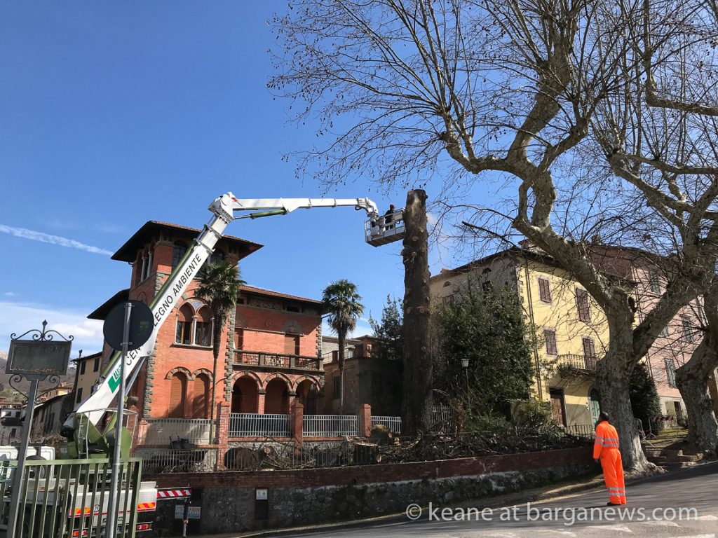 Chainsaws once more in Barga Vecchia