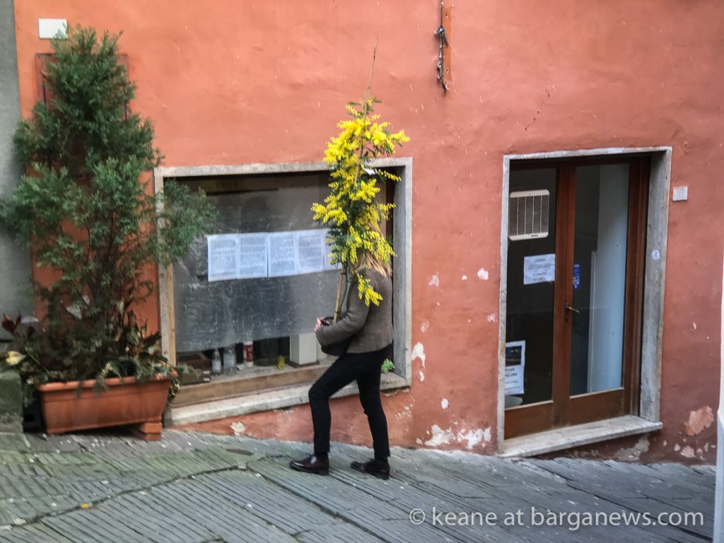 Five page poem as L’alcova interior design closes in Barga Vecchia