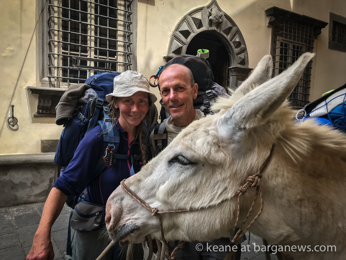 Walking from Italy to Sweden and back with 2 donkeys