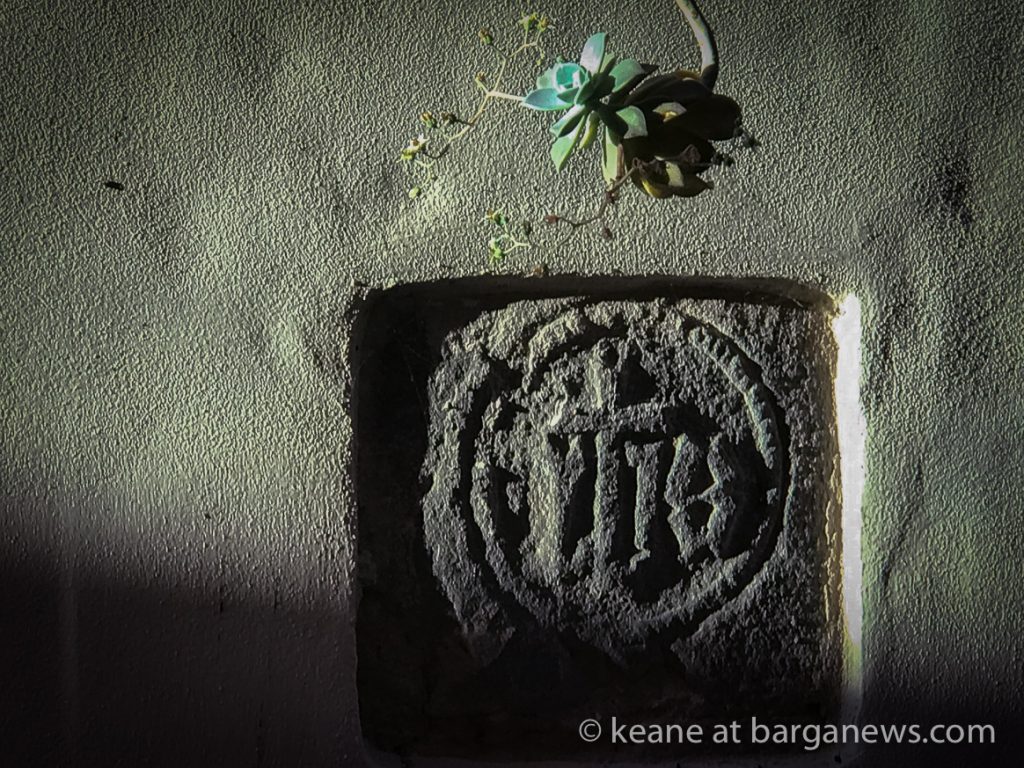 Daily image 17th June 2019