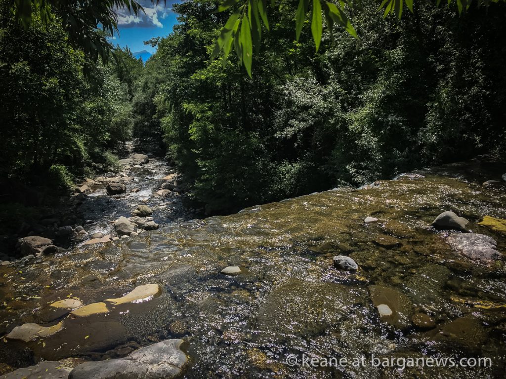 Daily image 18th June 2019