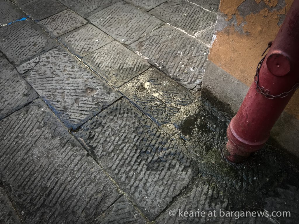 Daily image 19th June 2019