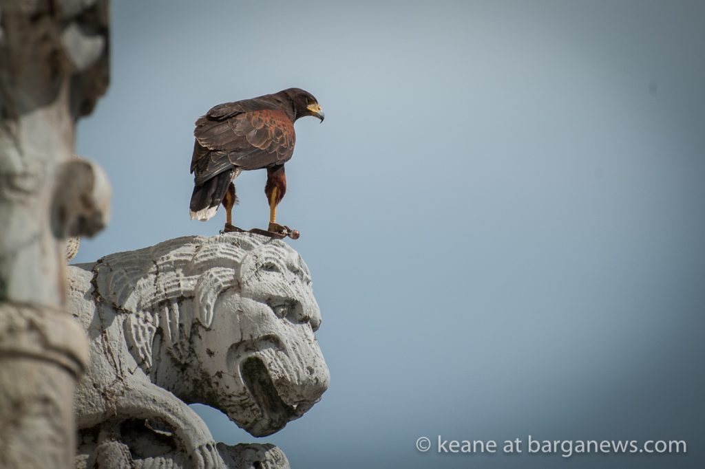 Daily image 22nd June 2019