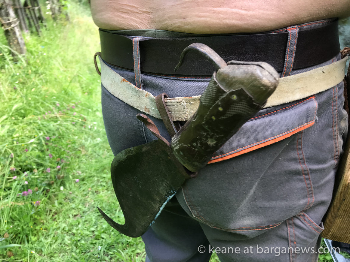 Daily image 1st June 2019