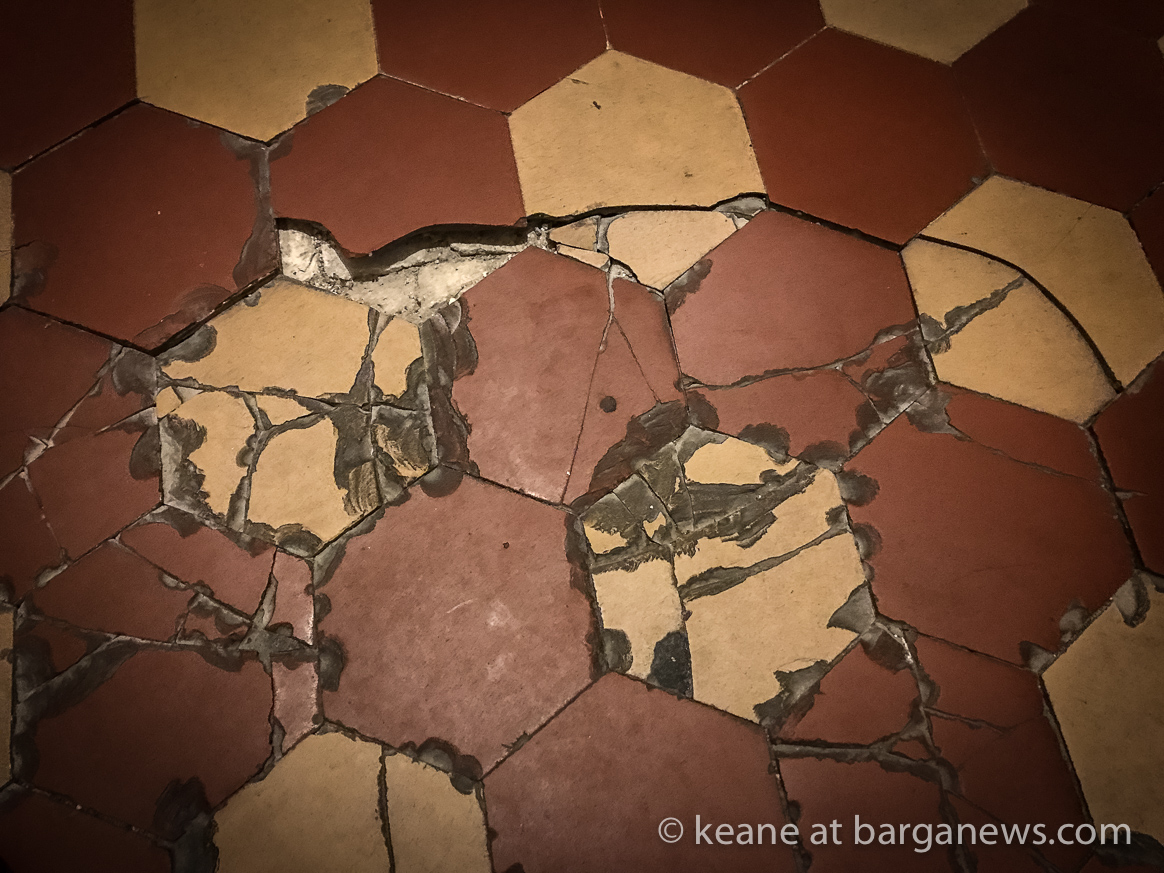 Daily image 11th July 2019