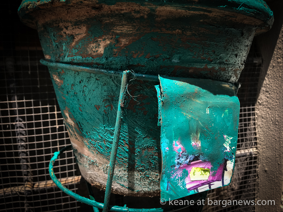 Daily image 10thJuly 2019