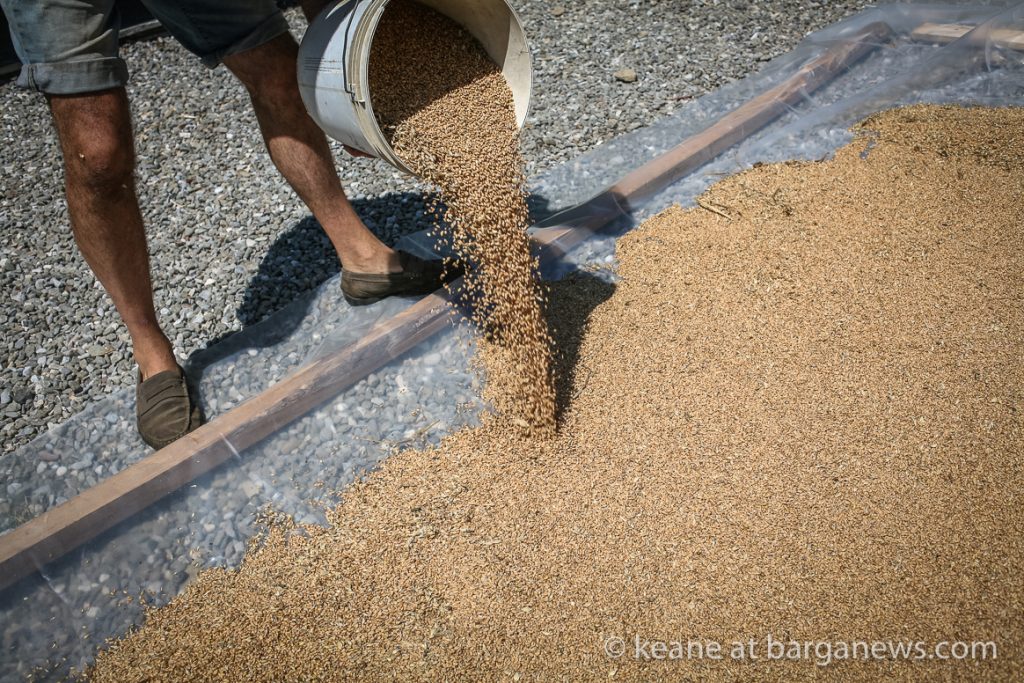 Daily image 4th August 2019