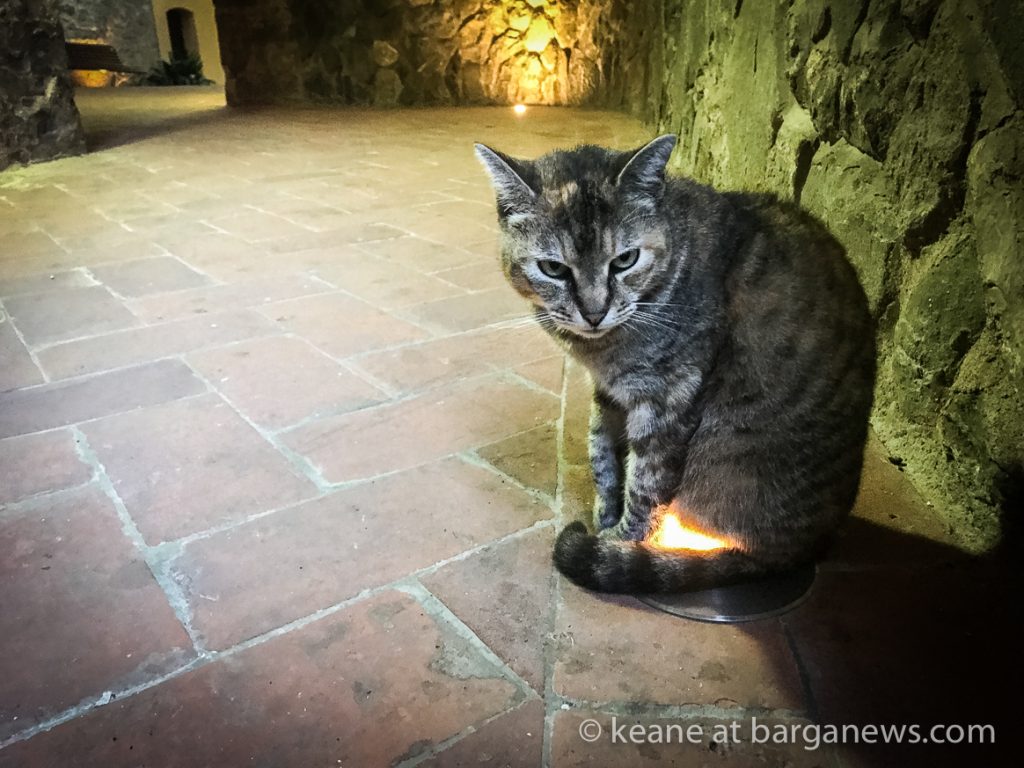 Daily image 28th September 2019