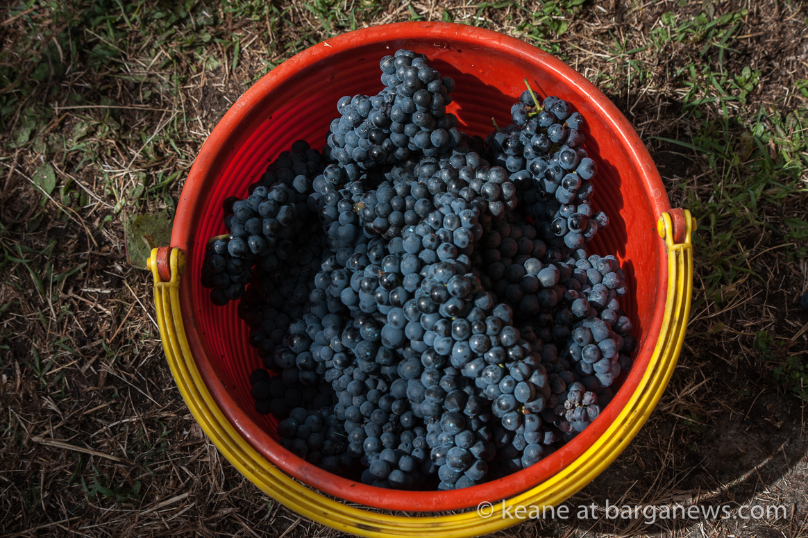 Daily image 20th September 2019