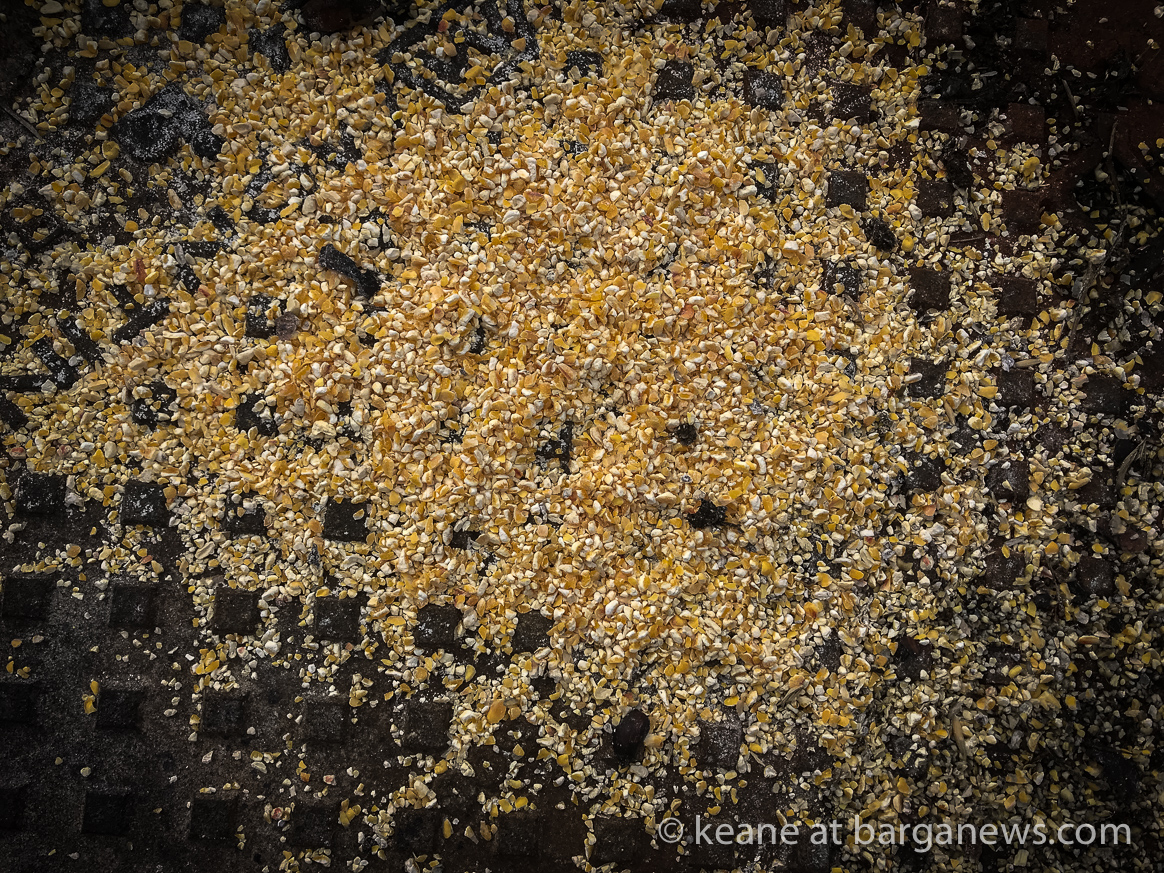 Daily image 16th October 2019