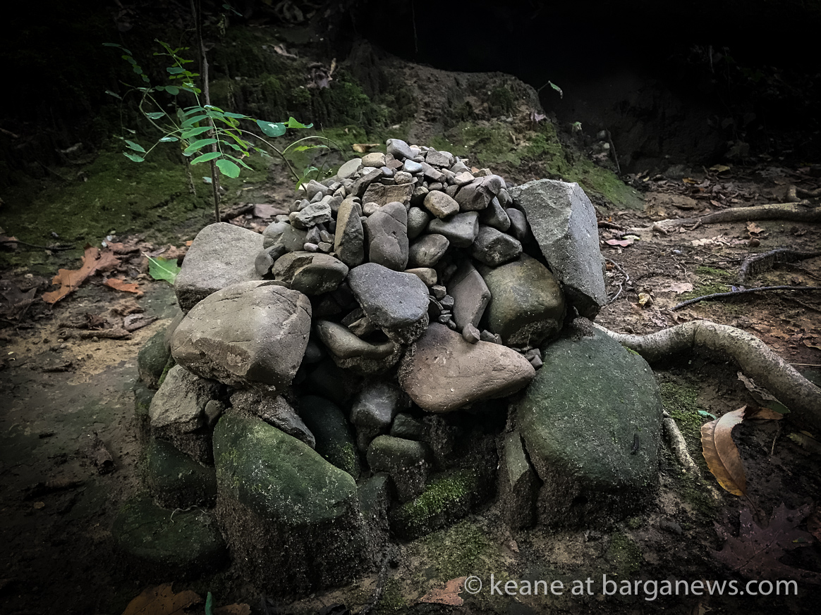 Daily image 8th October 2019