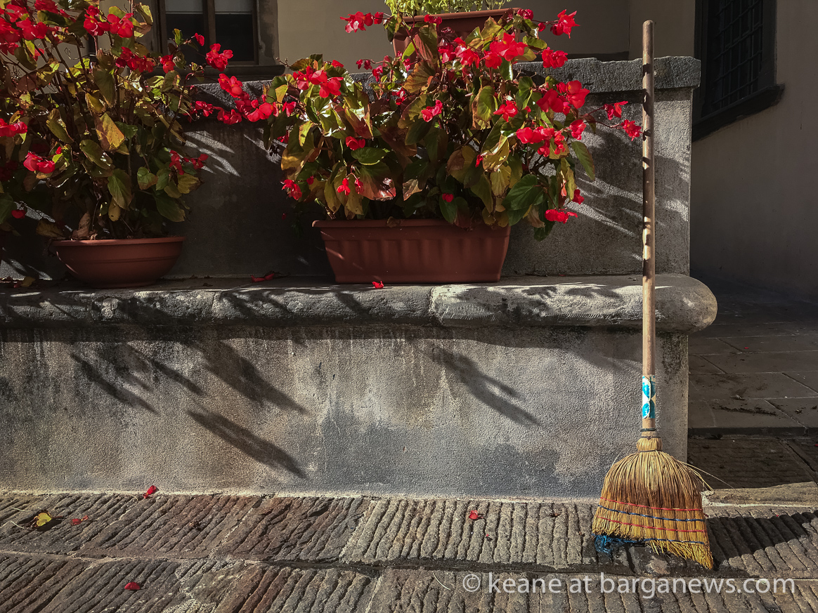 Daily image 9th October 2019