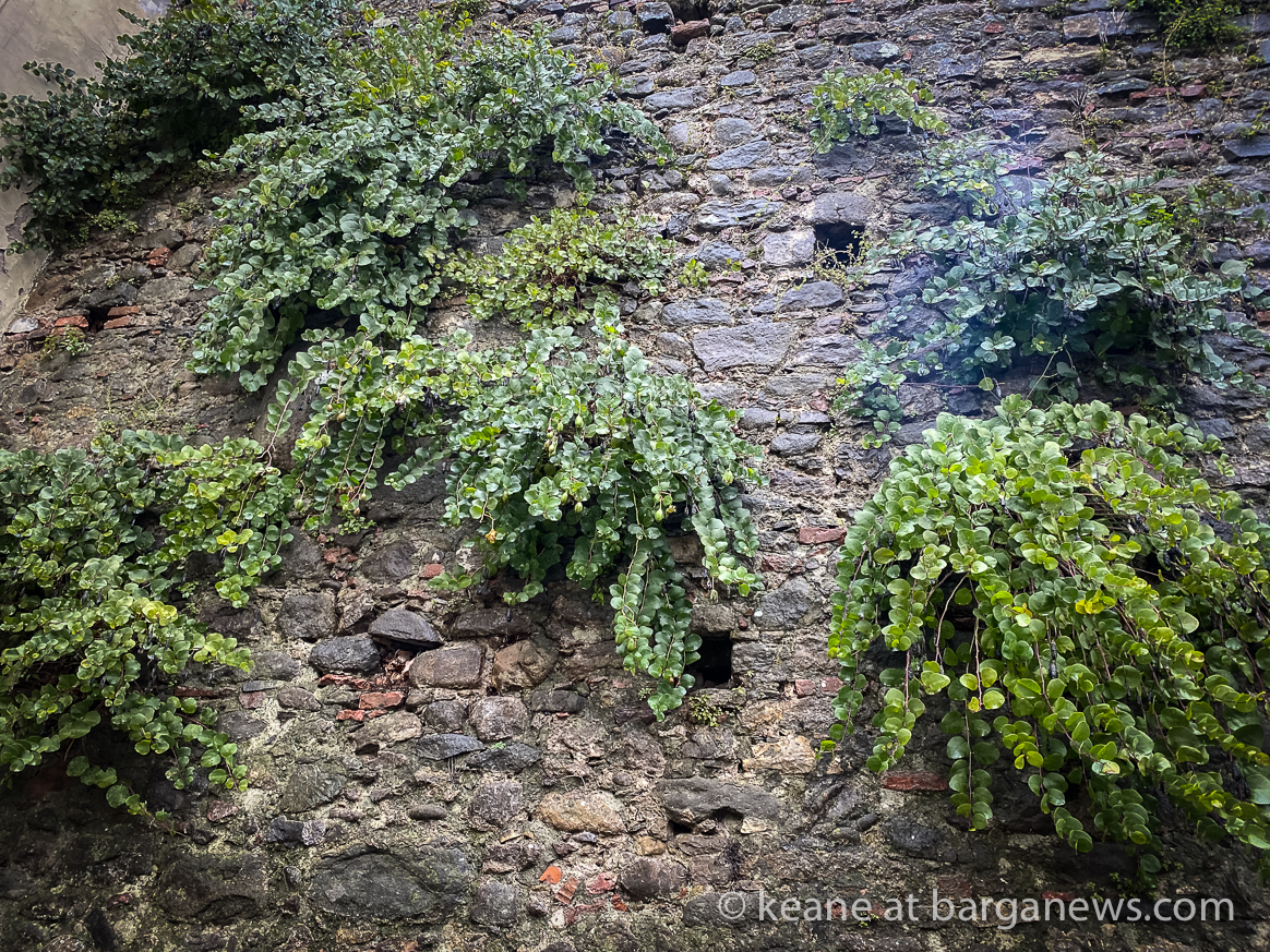 Daily image 9th November 2019