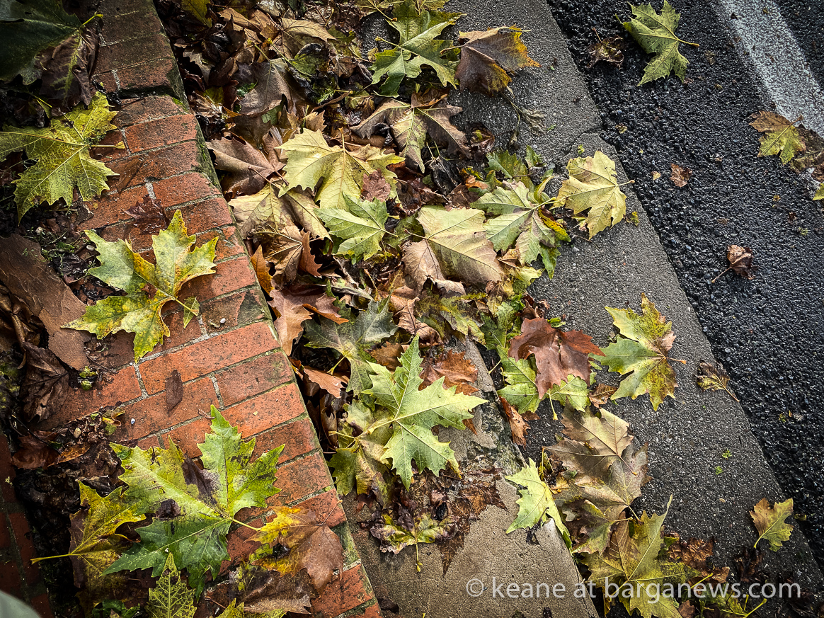 Daily image 16th November 2019