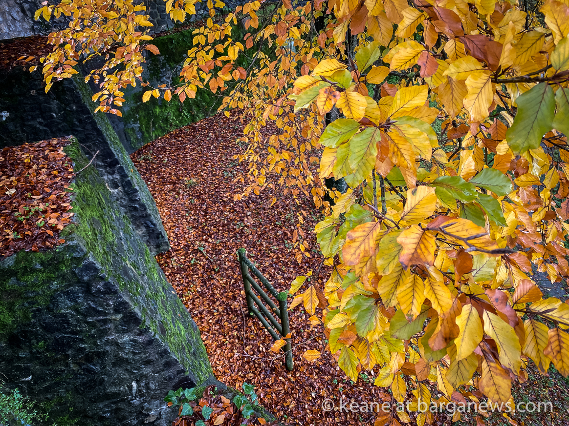 Daily image 18th November 2019