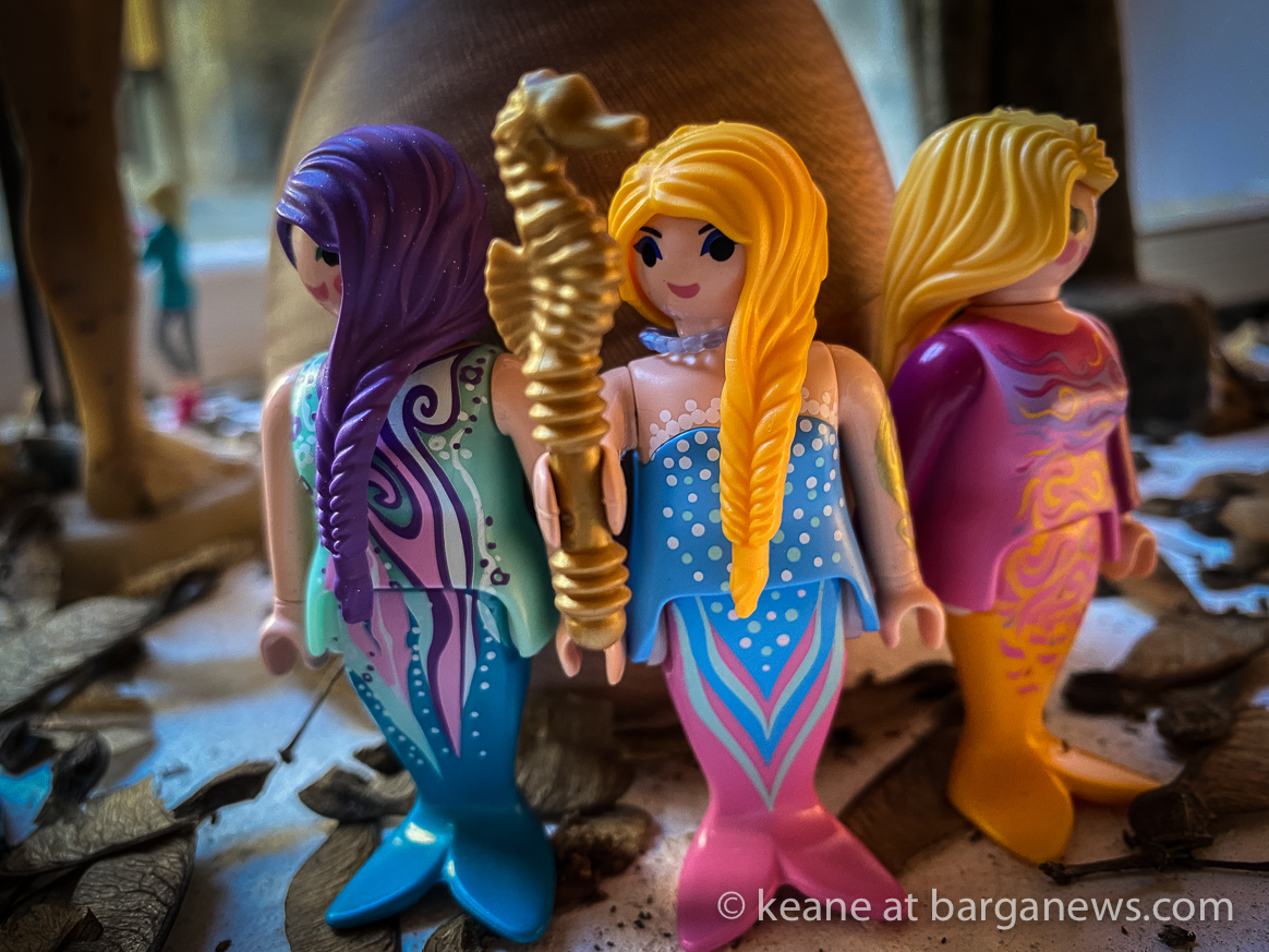 Daily image 7th November 2019